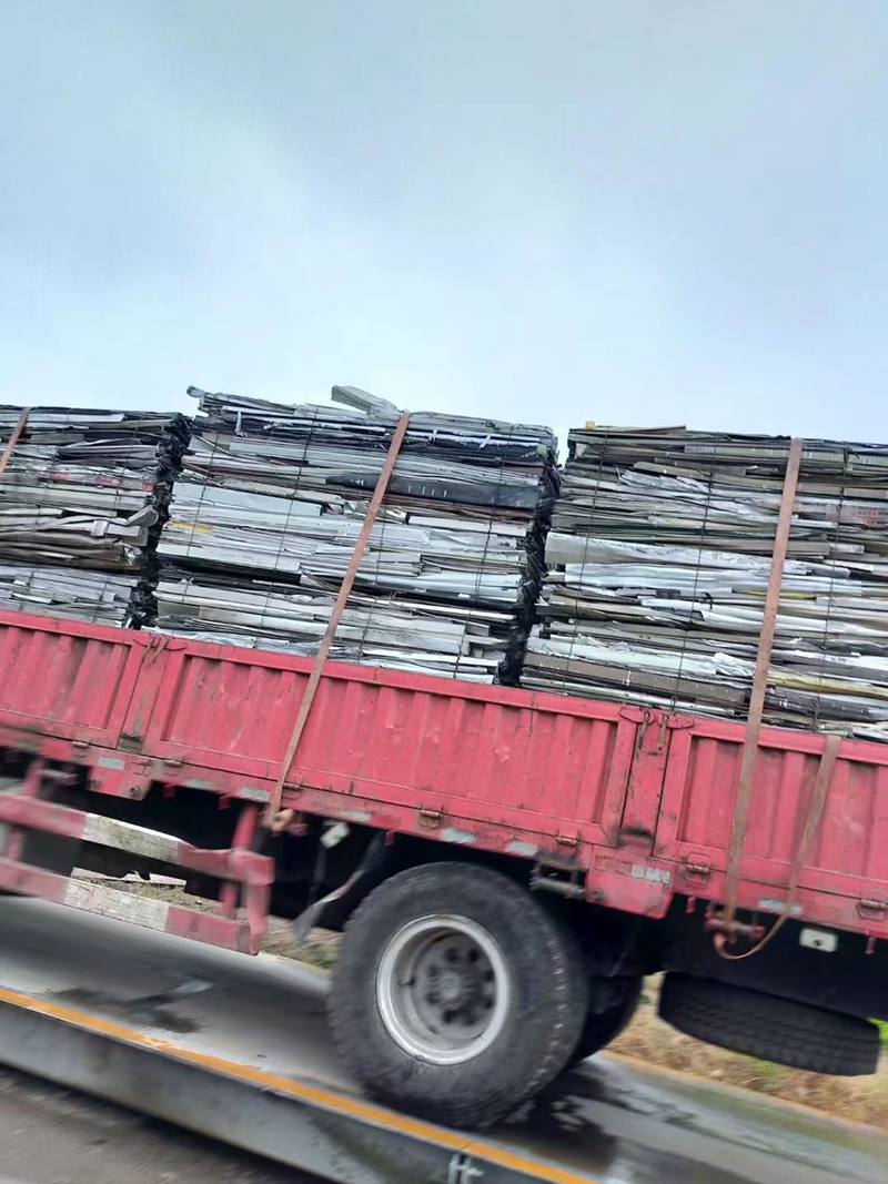 ��ɫ���ٻ���