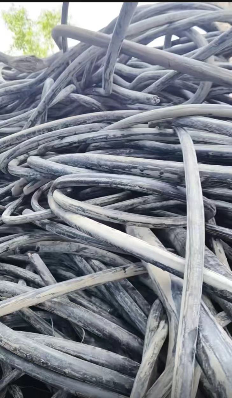 ��ɫ���ٻ���